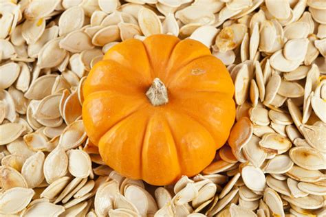 9 Health Perks Of Pumpkin Seeds Lorens World