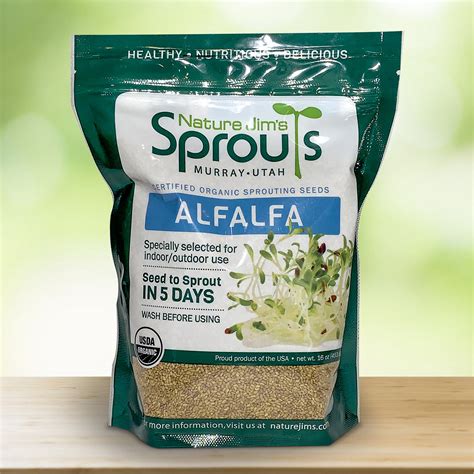 Alfalfa Sprout Organic Alfalfa Seed Certified Organic Non Gmo Etsy