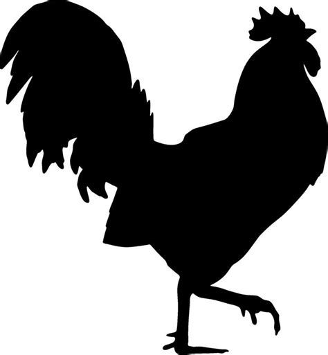 Download Rooster Vector Silhouette Free at Vectorified.com | Collection of Rooster Vector Silhouette Free ...