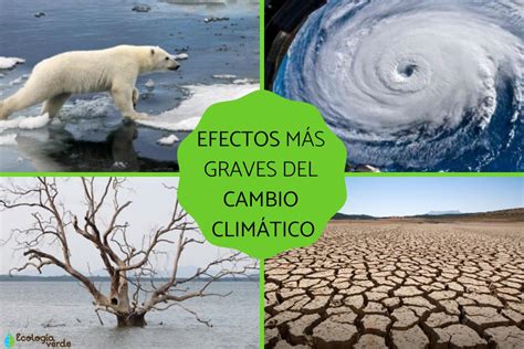 efectos del cambio climático Resumen y vídeos