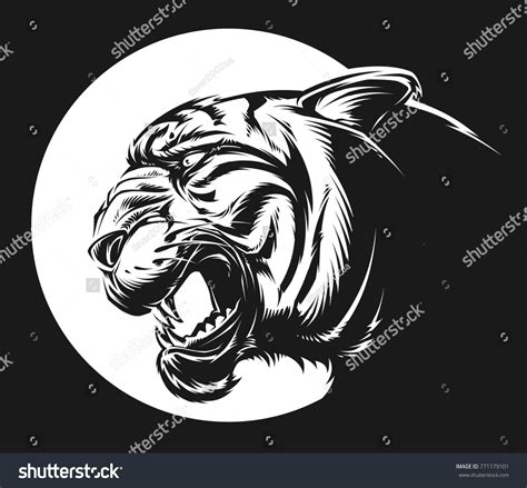 Vector Angry Tiger Stock Vector Royalty Free Shutterstock