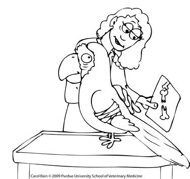A cat coloring pages idea may add your love to them. Vet Coloring Pages - GetColoringPages.com
