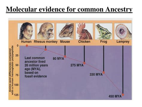 Ppt Next Unit Evolution And History Of Life Chapters 22 26 Chapter 22 Darwinian View Of