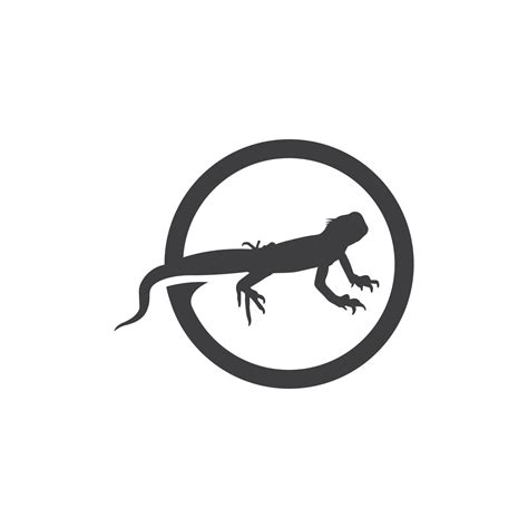 animal vector lizard salamander gecko crocodile and reptiles design