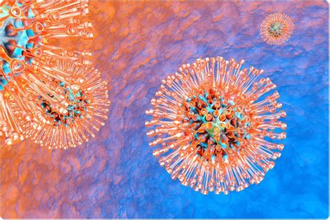 Herpes simplex virus (hsv) è un membro della famiglia degli herpesviridae del quale si conoscono due tipi: Could we prevent Alzheimer's disease by treating herpes?