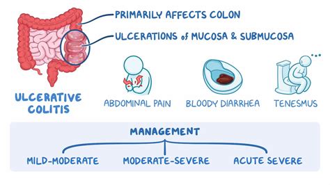 Inflammatory Bowel Disease Ulcerative Colitis Clinical Sciences