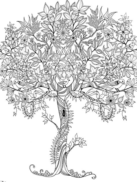 Trees Coloring Books Adultcoloringbookz