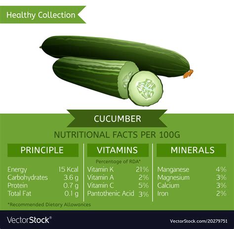 Cucumber Nutritional Facts Royalty Free Vector Image