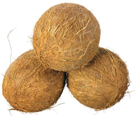 Coconut Png Image Coconut Benefits Coconut Vegetable Pictures