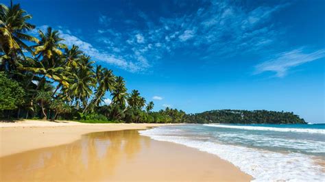 Top Seven Beach Resorts In Sri Lanka Transindus