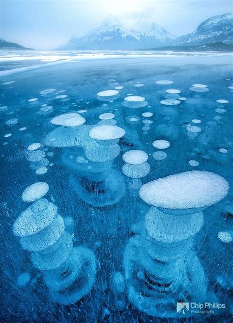 Frozen Air Bubbles In Abraham Lake Alberta Canada Snow