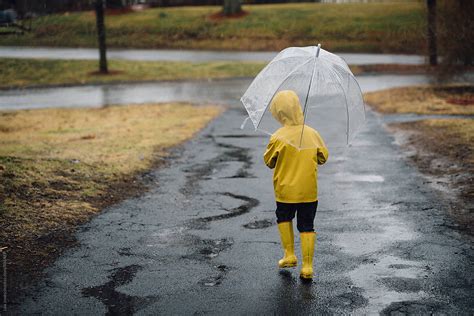 Little Boy Walking With Umbrella In The Rain By Stocksy Contributor