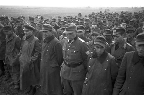 Немецкий полк в 1941 году фото