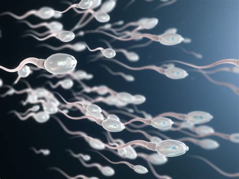 New Technique To Analyse Sperm Could Improve Male Fertility Testing Ivf Babble
