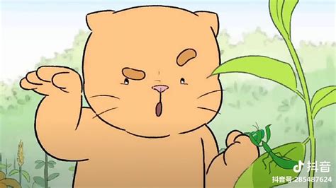 tik tok hoạt hình về những chú mèo dễ thương và hài hước trên tik tok phần 2 youtube