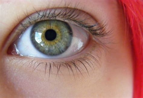 62 Best Images About Green Grey Eyes On Pinterest