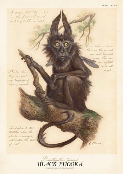 Creature Design Creature Art Spiderwick Chronicles Irish Mythology
