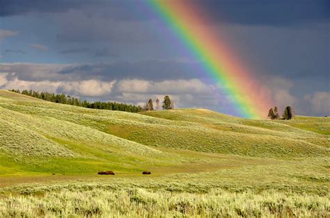 Rainbow Over The Yellowstone Landscape Wyoming Image Free Stock