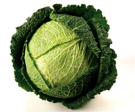 Savoy Cabbage Benefits How To Cook Recipes Substitutes