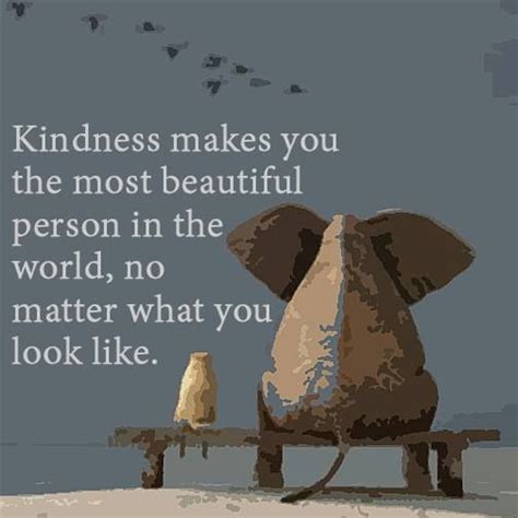 71 Kindness Quotes Sayings About Being Kind