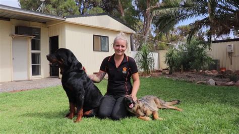 Guardian Angel Animal Rescue South Australia Youtube