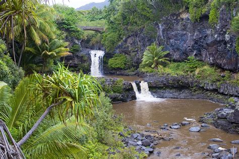 The road leads you through flourishing rainforests, flowing waterfalls the winding road to hana is one of hawaii's most famous drives. Hana & East Maui travel - Lonely Planet