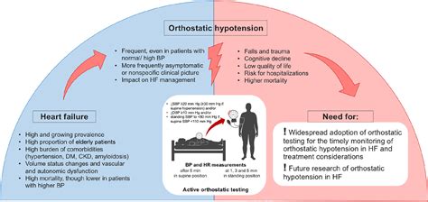 All Rise Orthostatic Hypotension In Heart Failure Letter Regarding