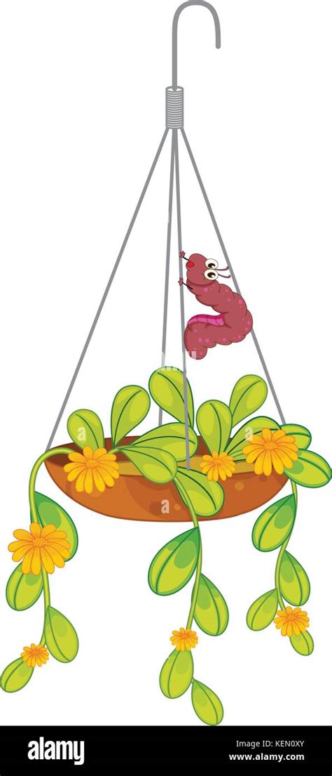 Illustration Of A Hanging Plant With A Caterpillar On A White