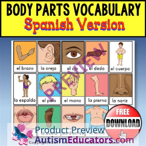 Ask students to make a booklet with several pages, each with different animals cut into three parts. Body Parts Vocabulary Flashcards SPANISH