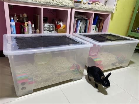 Recommended Large Hamster Cages Including DIY Hamster OFF