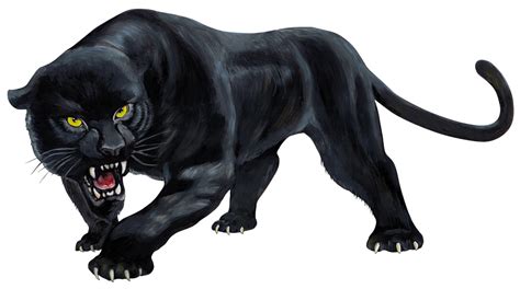 Download Real Simulator Panthera Panther Black Cub Wild Hq Png Image