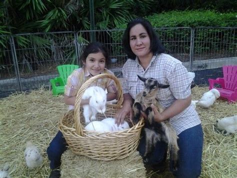Mobile pony and petting zoo for parties from friendly pony parties & barnyard pals (up to 60% off). Every Kids Dream Pony Party and Petting Zoo | Zoo animals ...