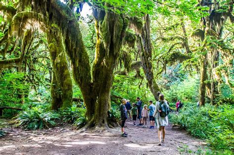 7 Incredible Things To Do In Olympic National Park Wa Beautiful Place