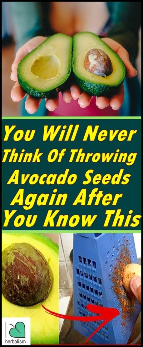 You Will Never Think Of Throwing Avocado Seeds Again After You Know