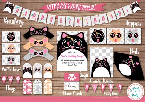 The twiddlers 120 pcs party toys assortment | kids birthday party favors, pinata fillers, carnival prizes, classroom rewards, treasure box toys, goodie bag fillers, bulk toys for girls and boys. Cute Kitty Cat themed Birthday Party Decor by LivisPrintables
