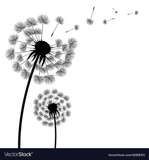 Ai (adobe illustrator) eps (encapsulated postscript). Silhouette dandelion Royalty Free Vector Image