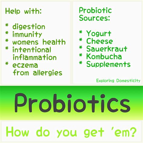 5 Ways To Get Your Probiotics With Probioslim ⋆ Exploring Domesticity