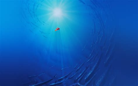 Aq58 Finding Dory Disney Nemo Cute Wallpaper