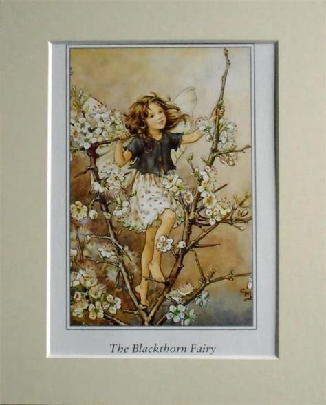 Blackthorn Flower Fairy Cecily Mary Barker In 10in X 8in Etsy