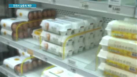 전국에서 발견된 살충제 계란대부분 친환경 농장