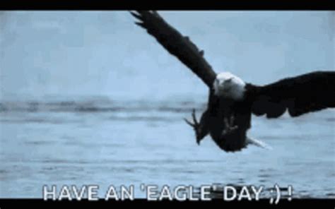 Flying Eagle Eagle Gif Flying Eagle Eagle Animated Eagle Gifs My Xxx