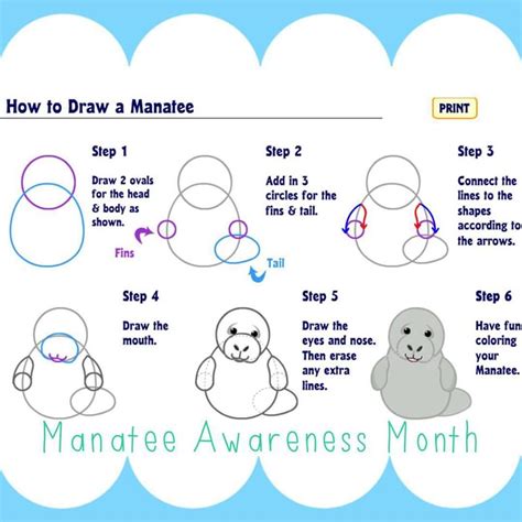 For Manatee Awareness Month Learn How To Draw A Manatee Provided Via