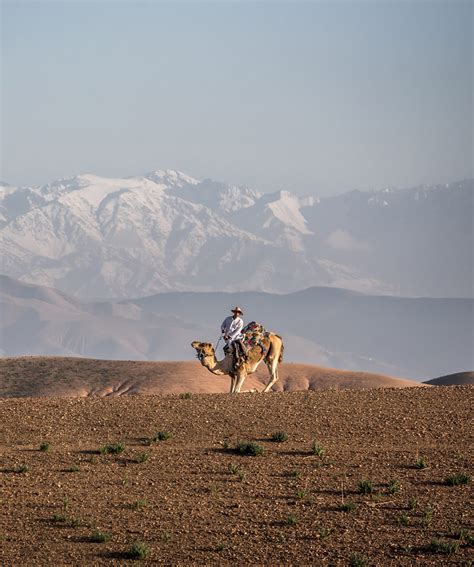 Good availability and great rates. Camel Ride in Agafay Desert & Oasis * Dunes & Desert