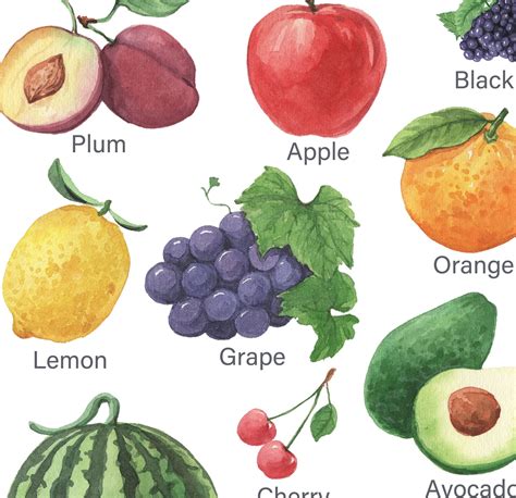 Set Of 3 Vegetables Fruits Fam Chart Educational Posters Etsy