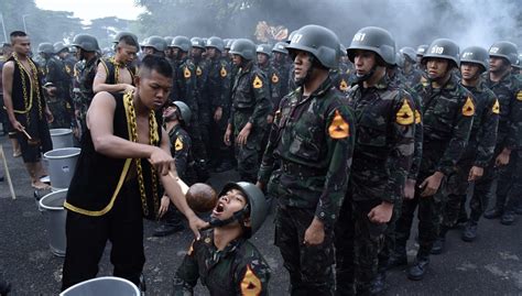 Kemeriahan Tradisi Penyambutan Kopral Taruna AAL Angkatan 71 Balijani Id