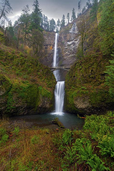 Multnomah Falls In Columbia River Gorge Photograph By David Gn Pixels