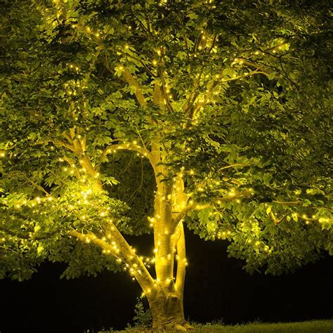Tree Lights For Spring And Summer Yard Envy Outdoor Tree Lighting
