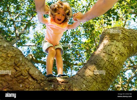 Father Helping Son Climb A Tree Happy Kid Climbing Up Tree And Having