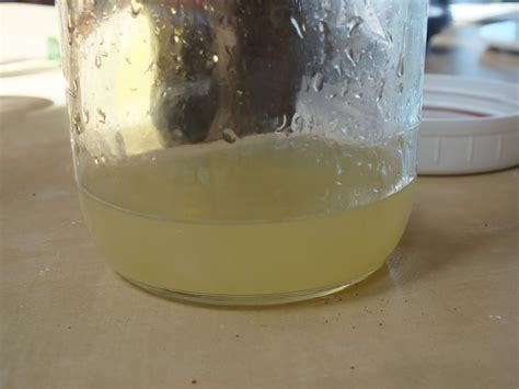 How much juice is the equivalent of 1 lemon? CJ's Kitchen: Summer Favorites Part 1: Marinades Are Your ...