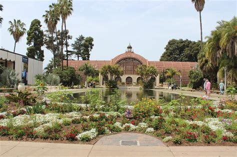 Spread across 37 acres, it is considered an oasis in the urban setting with the sprawling bushes, trails, blooming flowers. San Diego Botanic Garden - Picture of San Diego Botanic ...